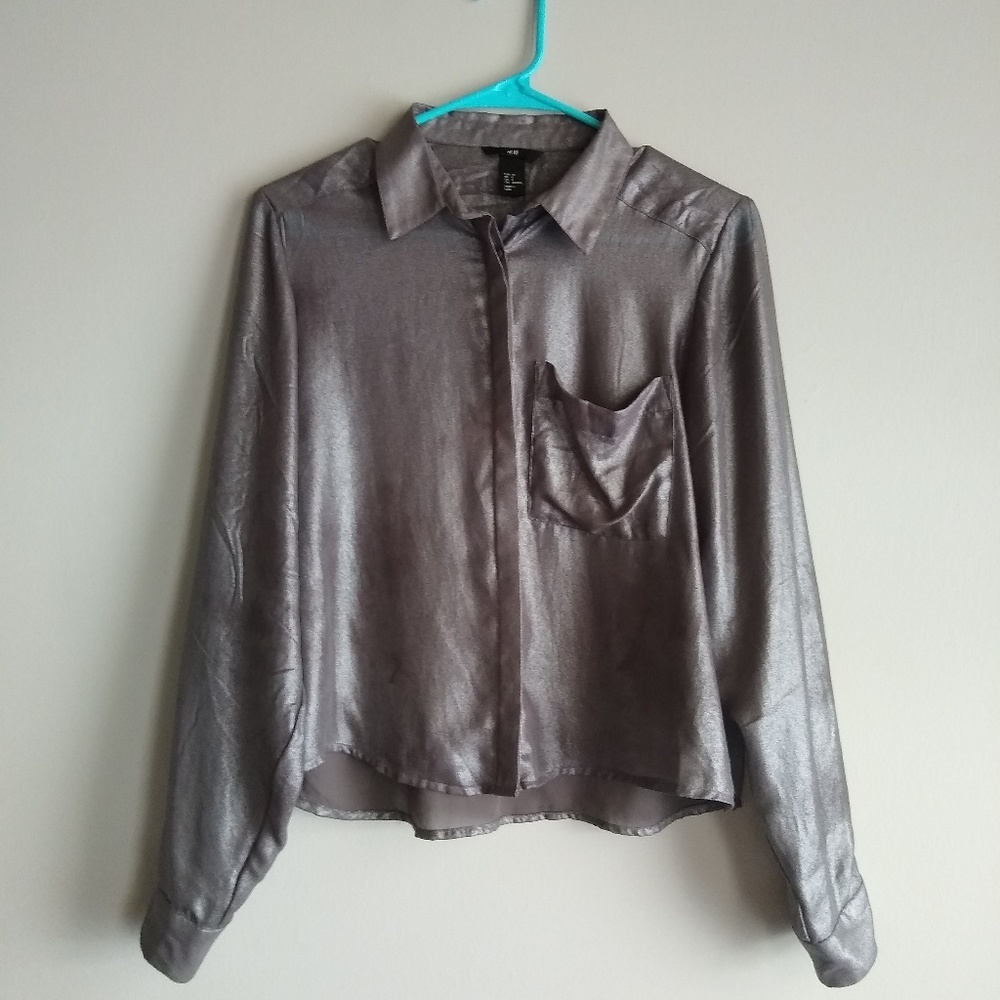 Sheer Silver Top
